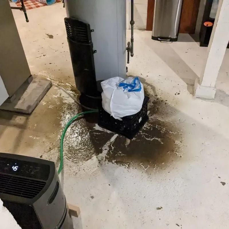 Sewage Backup Cleanup Service in Salome, AZ